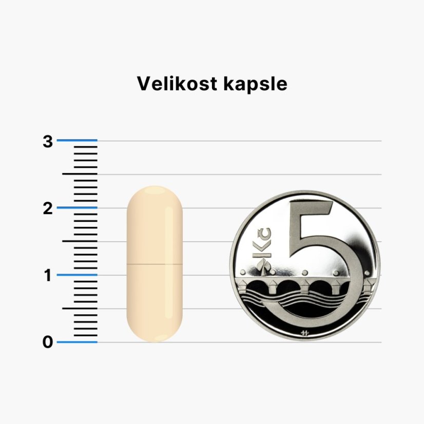 BrainMax Rutin, 500 mg, 100 rostlinných kapslí