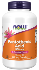 NOW Panthoteic Acid B5 (kyselina pantothenová), 500 mg, 250 rostlinných kapslí