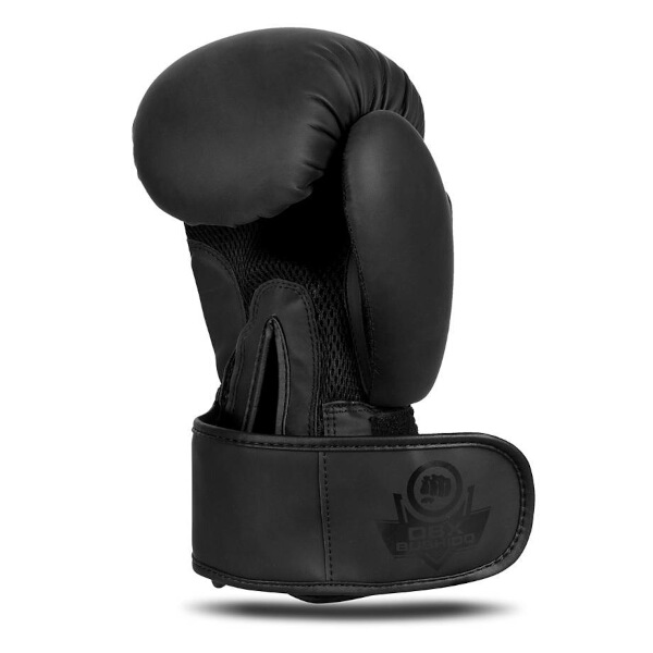 Boxerské rukavice DBX BUSHIDO B-2v21