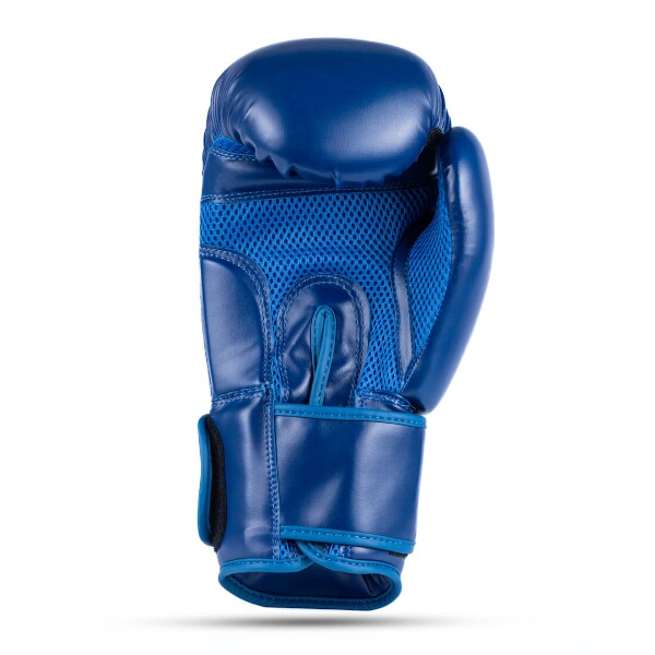 Boxerské rukavice DBX BUSHIDO ARB-407-Blue - Velikost: 10oz
