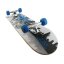 Skateboard NILS Extreme CR3108 SB Speed