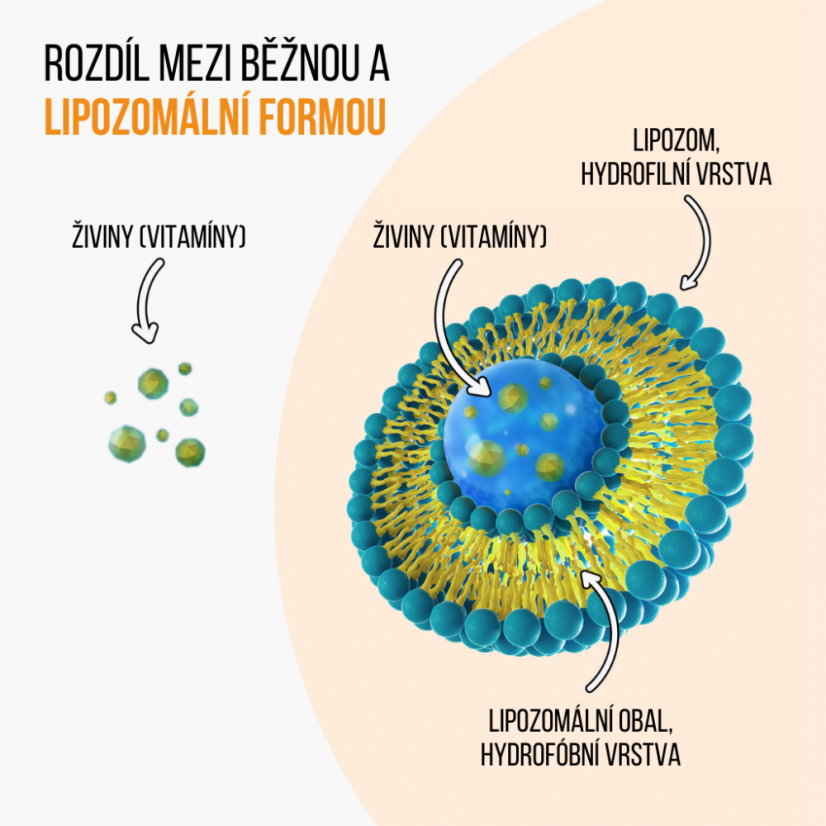 BrainMax IMMUNIZER! 60 rostlinných kapslí