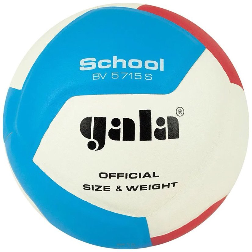 GALA Míč volejbal GALA SCHOOL 12 BV5715S