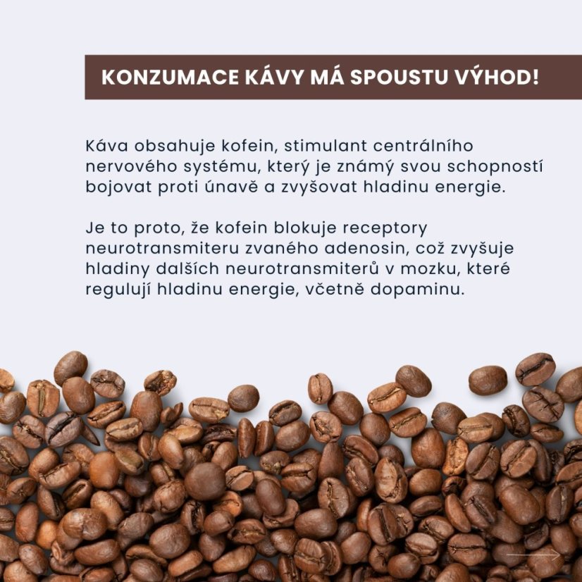 BrainMax Pure láhev na přípravu Cold Brew, 750 ml - světle hnědá
