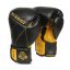 Boxerské rukavice DBX BUSHIDO B-2v14